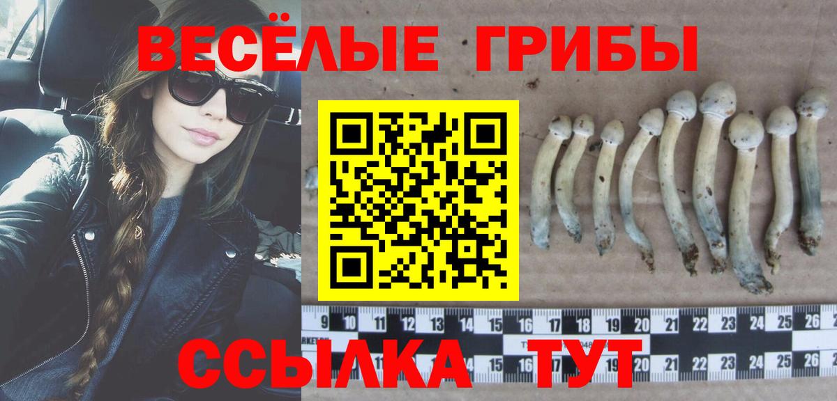 Губаха  Псилоцибиновые грибы GOLDEN TEACHER  Вход с VPN 