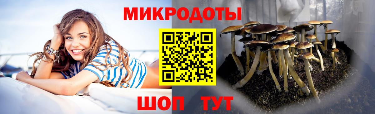 Галлюциногенные грибы Cubensis Губаха
